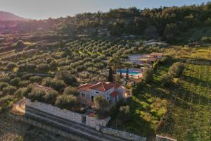The Olive Grove Villas with large swimming pool
