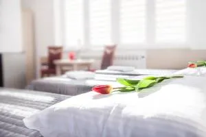 Noclegi Sebastian w Centrum - Wojtkowa