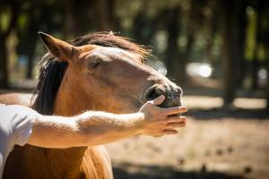 Campings Camping 4 etoiles - Parc aquatique - eeifae : photos des chambres