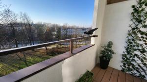 Exclusive Loft Kadzielnia