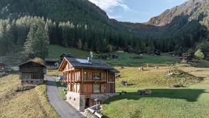 Maso Stregozzi - Valorz