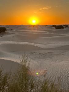 Camp Privé rêve de désert