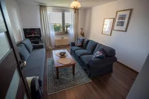 Apartament Kama - 帕奇库夫