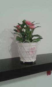 Apartamento Calle Goles