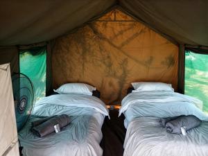 Yebo Safari Tents-Stay Inside Kruger