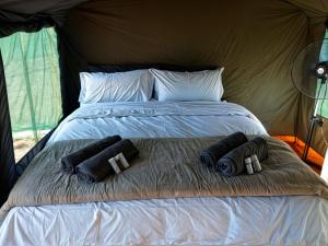 Yebo Safari Tents-Stay Inside Kruger