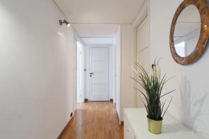 PrimoPiano - Washington 80