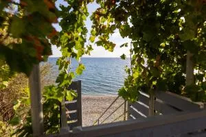 Ammoudeli Apartments - Megalochórion