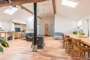 Ludogîte Graine de Jeux - 阿莱格尔