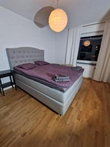 En nyrenoverad lägenhet med 2 sovrum