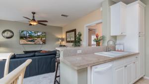 Coconut Plantation 1192-4