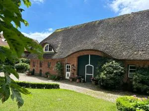 Hoheluft am Wittensee Apt 2 - Groß Wittensee