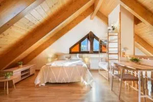 Apartamento A10 de Formigal, 9 PERSONAS Y GARAJE - Escarrilla