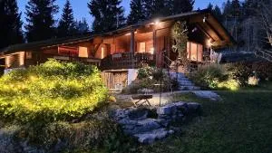 Chalet SonnSeitn - Adnet