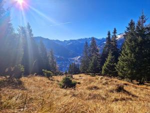 Landhaus Schwarzgütl