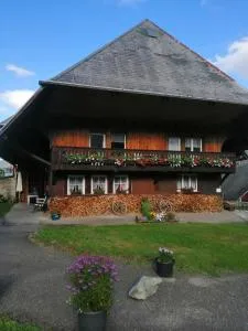 Schwarzwaldferienwohnung Oberle - 黑林山区舍瑙
