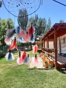 La Campigna, Neuquen