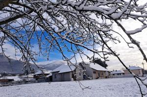 Apartmani Petrović SEMČE Suva Planina
