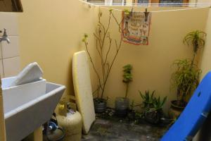 Las Toninas Impedirble