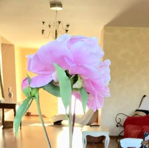 Appartements Le Petit Chateau : photos des chambres