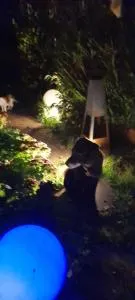 Ferienwohnungen-Willrich-Ferienwohnung-2 - Freilingen