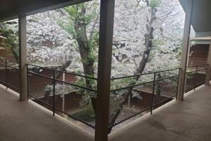 Walkable to Sanford Stadium or downtown
