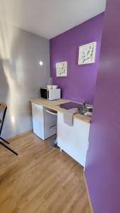 Appartements Studio Pause detente a Corbas acces Piscine, confort & tranquillite : photos des chambres