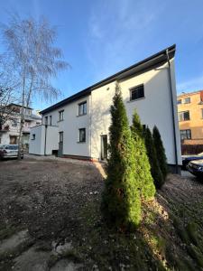 Beržo Kampelis Mieste