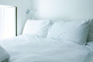 Artist colony cottage with sauna and private garden, and easy walk to city centre