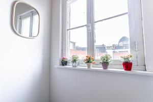 Elegant 5 BR Apartment at Ghents Core