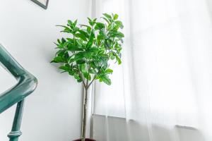 Elegant 5 BR Apartment at Ghents Core