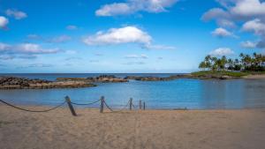 Coconut Plantation 1110-3