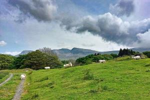 CaeEinion Cottage a Georgeous Rural Retreat Nr Dolgellau