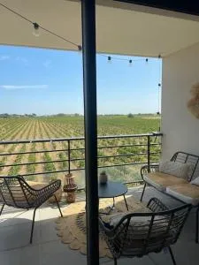 Appartement vue vigne - 卡贝斯塔尼