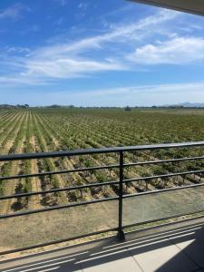 Appartement vue vigne