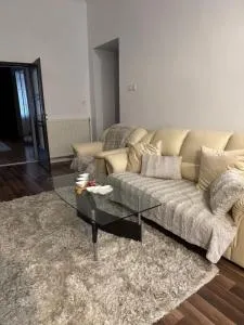 ALYO Home - 赛比什