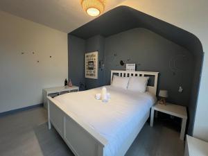 Maisons de vacances La Maison des Reves - 8 pers - Centre - Reve au Mans : photos des chambres