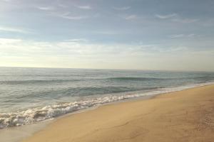 Apto en la playa a 20 min en tren de Barcelona