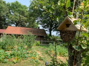 Maisons de vacances Le Chant des Pierres - Entre Terre et Mer : photos des chambres