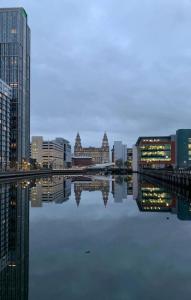 Cityscape Vistas