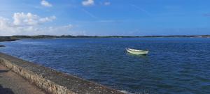 Appartement chaleureux 50m2 hypercentre