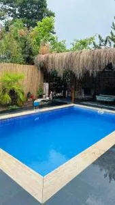 Ormanya Sıcak Havuzlu Şömineli Jakuzili Villa - 伊兹密特