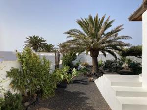 Full Relaxation - Private Villa - Sea View - Private Garden - 2 Terraces - 3 Bedrooms - Wifi - Parking - Washing Machine