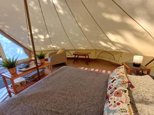 Campings Camping Etang Du Camp : photos des chambres