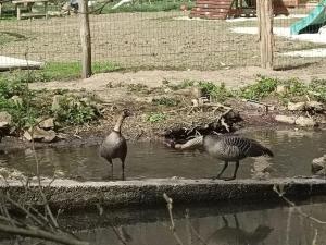 Le Moulin Barbotte La convivialité en pleine nature