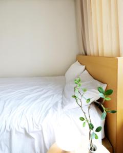 Yoksam Apartment 40m 2 Bedrooms 1 Private Bathrooms