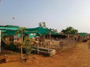 Gaushala and Cow Dung-Based Product Tourism - Samarda Kaliāsot