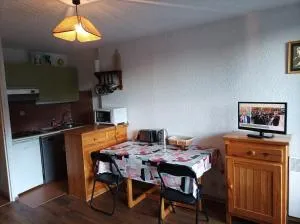 AI208 Studio 4 Pers Proche base de loisirs Carroz - Magland