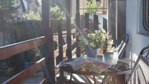 Sporty Mountain Escape Sinaia