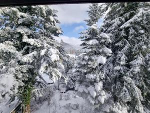 Sporty Mountain Escape Sinaia